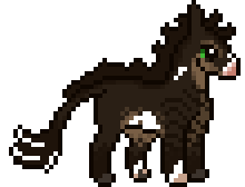 Rocher | Member